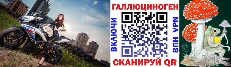 Псилоцибиновые грибы Psilocybine cubensis  Зеленогорск 